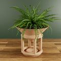 Funnel Planter-0