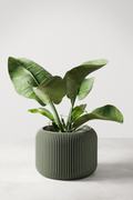 Orbis Planter-0