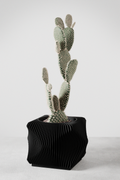 Xenova Planter-0